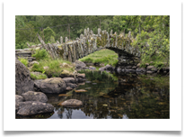 Bridge - Bill Rigby